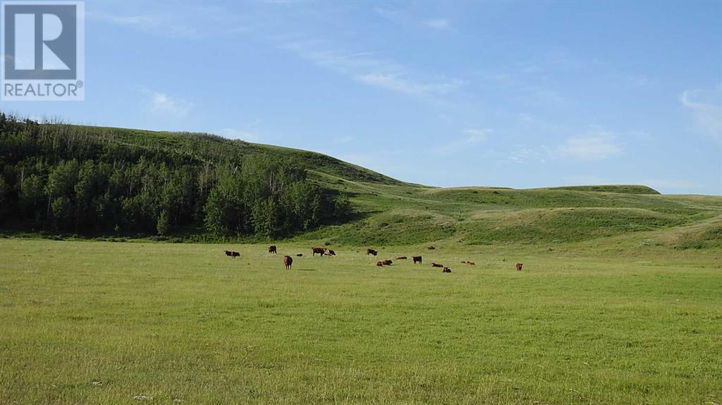 86 Acres On Highwood Rive E- 16-21-28 W4, Rural Foothills County, Alberta  T0L 1B0 - Photo 10 - A2081265