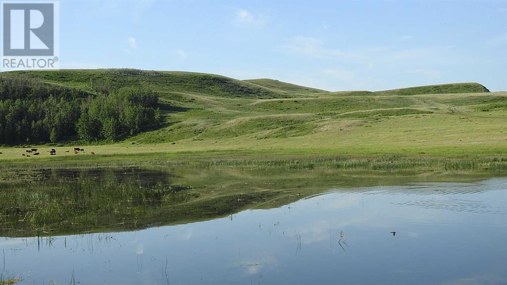 86 Acres On Highwood Rive E- 16-21-28 W4, Rural Foothills County, Alberta  T0L 1B0 - Photo 12 - A2081265