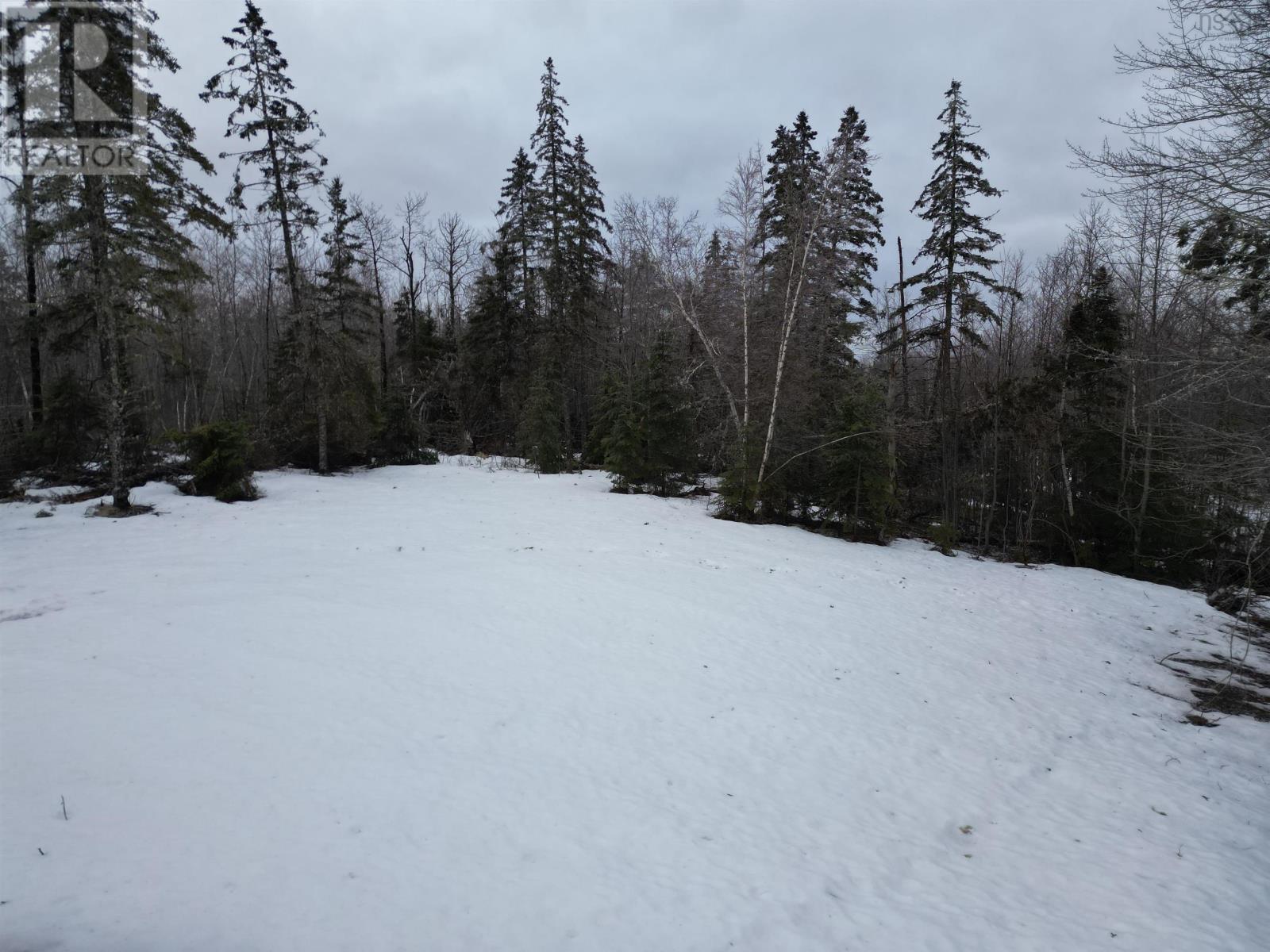 1372 Hardwood Hill Road, Hardwood Hill, Nova Scotia  B0K 1R0 - Photo 24 - 202404332
