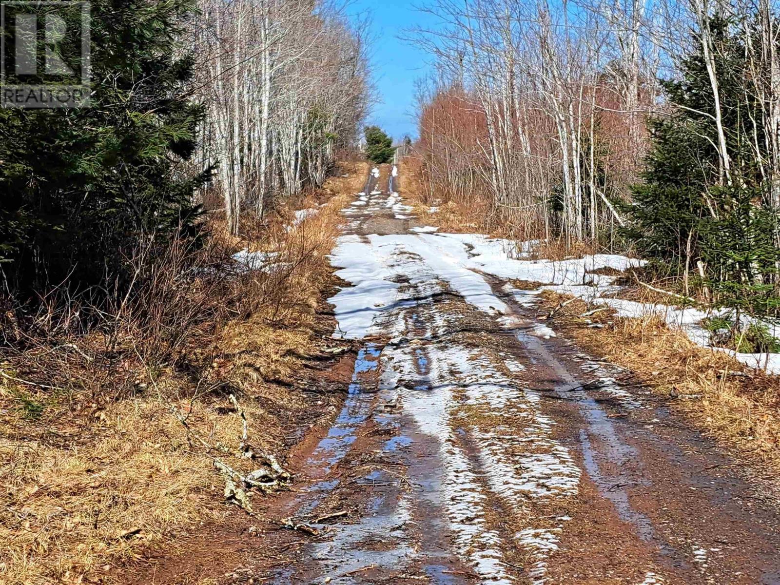 Jim Bailey Road, Keeble, Nova Scotia  B0K 1V0 - Photo 12 - 202403485