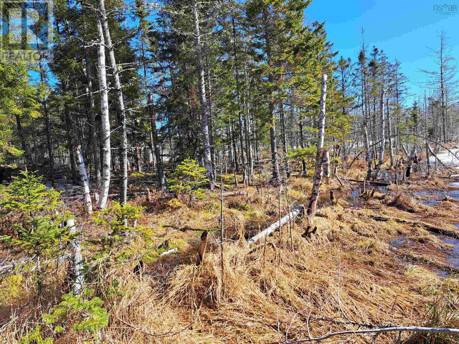 Jim Bailey Road, Keeble, Nova Scotia  B0K 1V0 - Photo 20 - 202403485