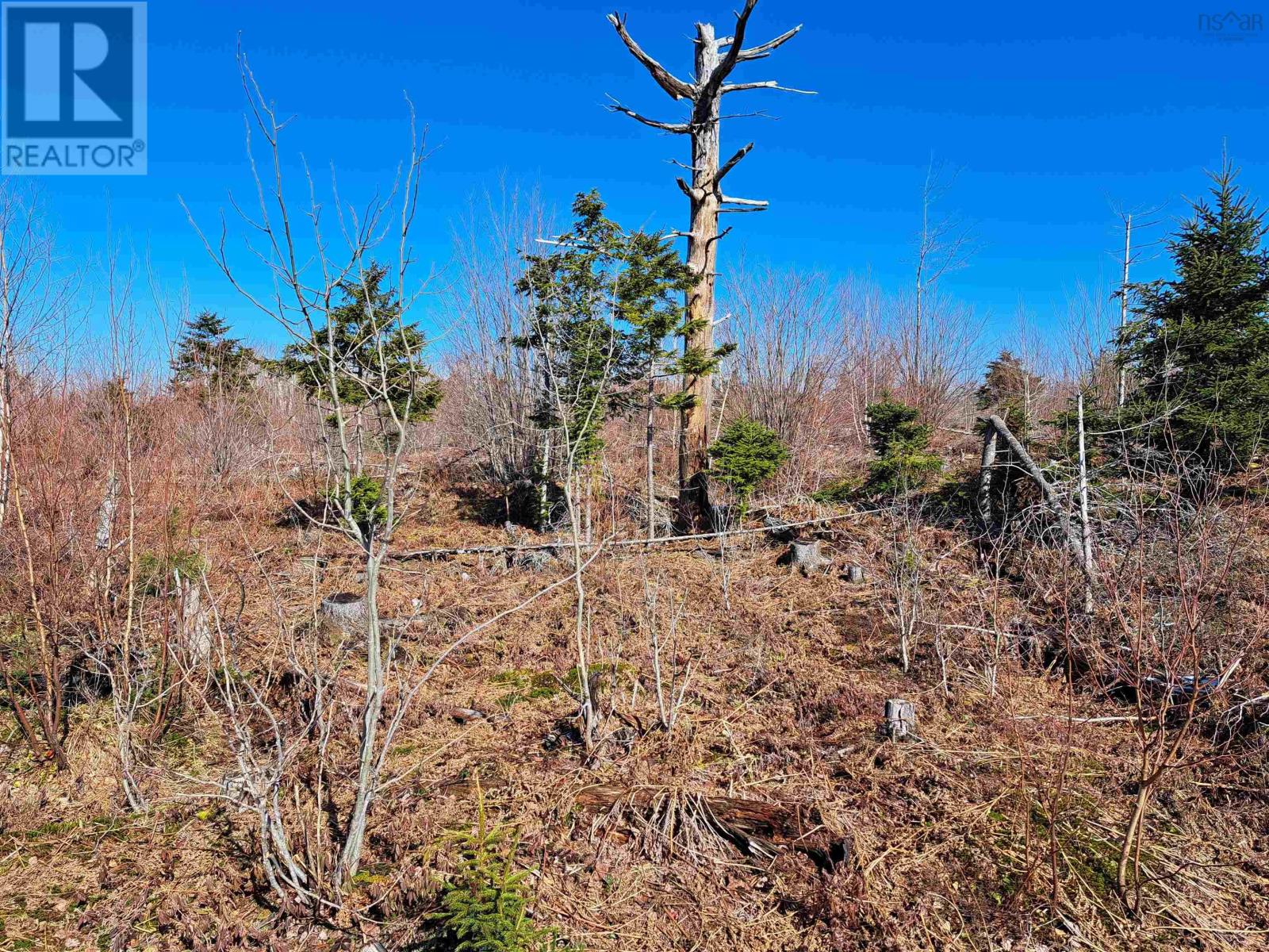 Jim Bailey Road, Keeble, Nova Scotia  B0K 1V0 - Photo 3 - 202403485