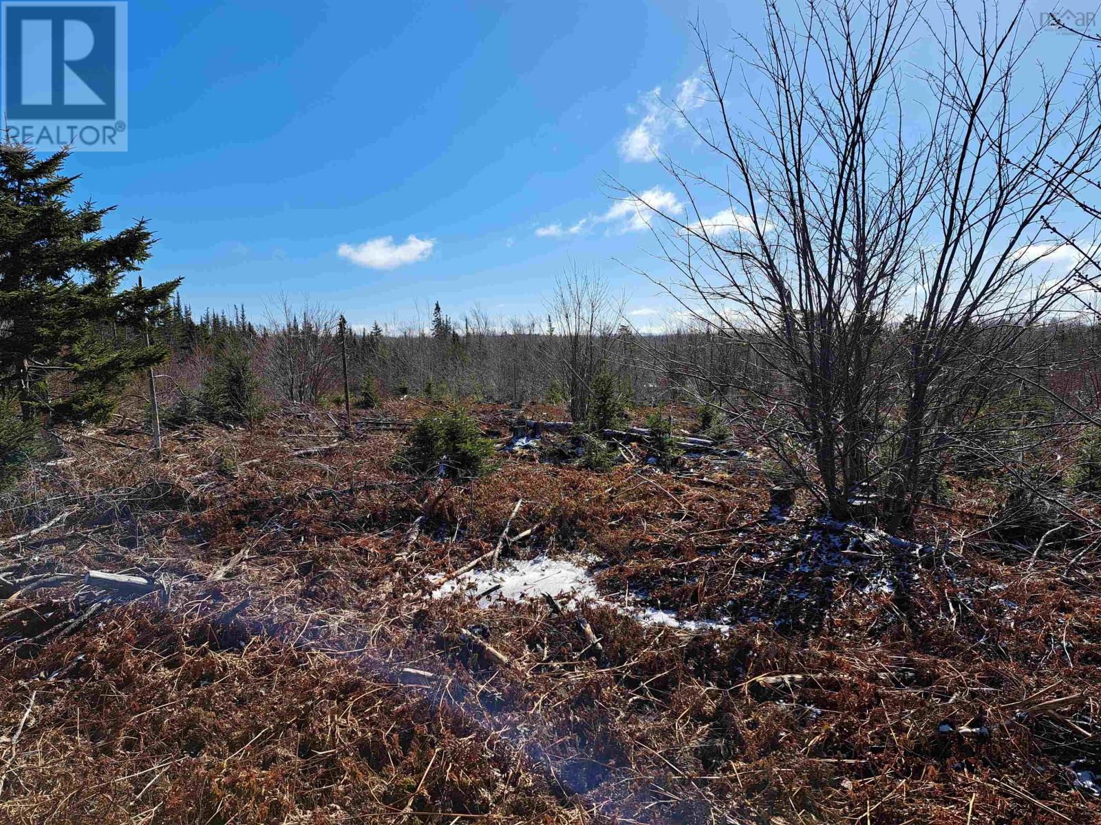 Jim Bailey Road, Keeble, Nova Scotia  B0K 1V0 - Photo 5 - 202403485
