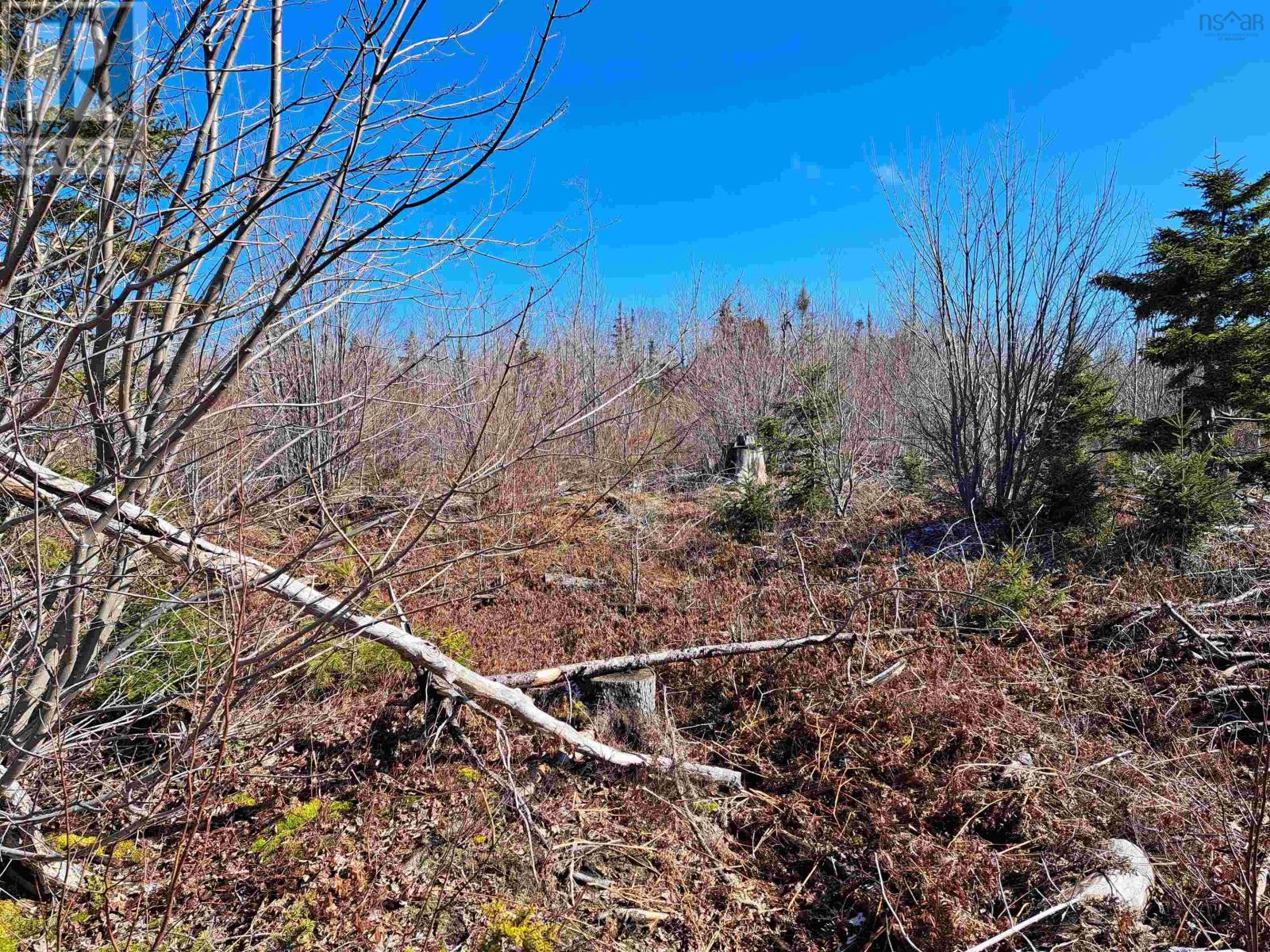 Jim Bailey Road, Keeble, Nova Scotia  B0K 1V0 - Photo 6 - 202403485