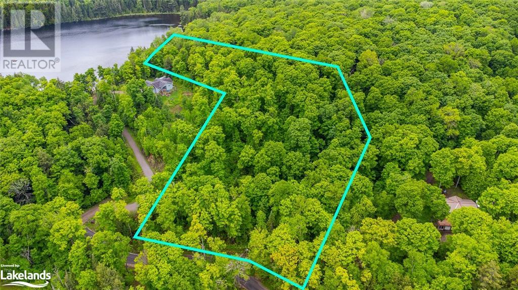 0 Grace River Road, Wilberforce, Ontario  K0L 3C0 - Photo 2 - 40549856