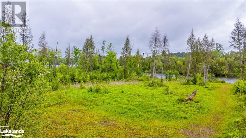 0 Grace River Road Unit# 2, Wilberforce, Ontario  K0L 3C0 - Photo 10 - 40549838