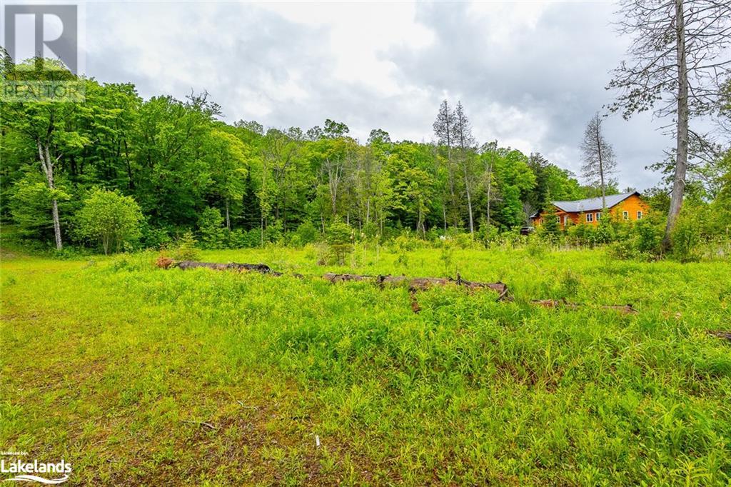 0 Grace River Road Unit# 2, Wilberforce, Ontario  K0L 3C0 - Photo 11 - 40549838