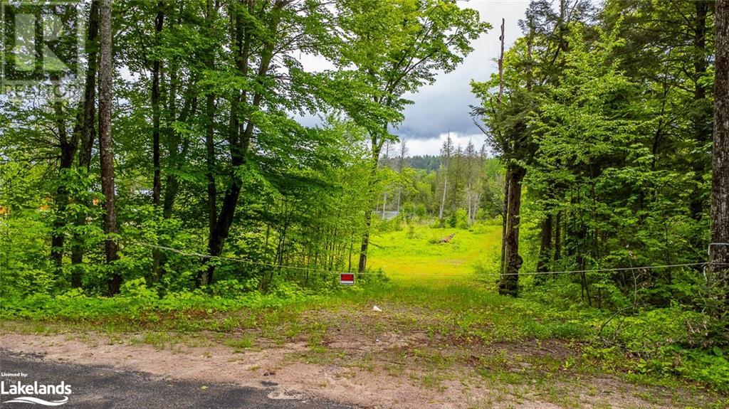 0 Grace River Road Unit# 2, Wilberforce, Ontario  K0L 3C0 - Photo 4 - 40549838