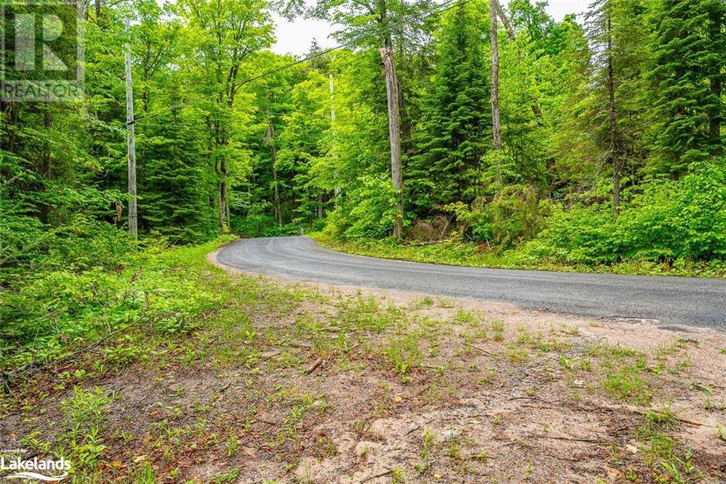 0 Grace River Road Unit# 2, Wilberforce, Ontario  K0L 3C0 - Photo 6 - 40549838