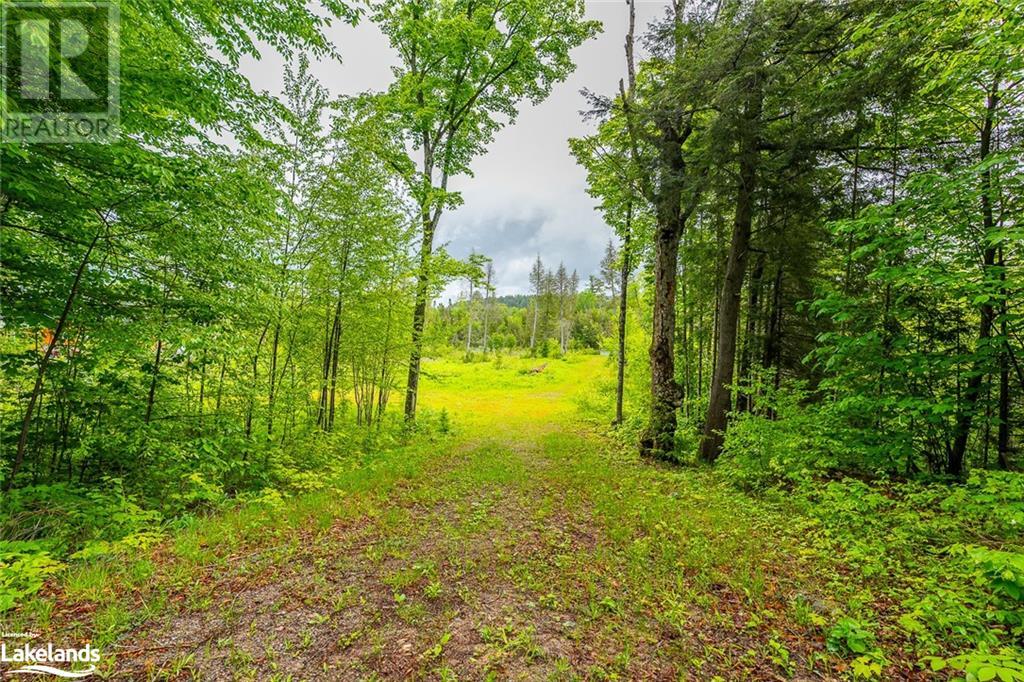 0 Grace River Road Unit# 2, Wilberforce, Ontario  K0L 3C0 - Photo 7 - 40549838