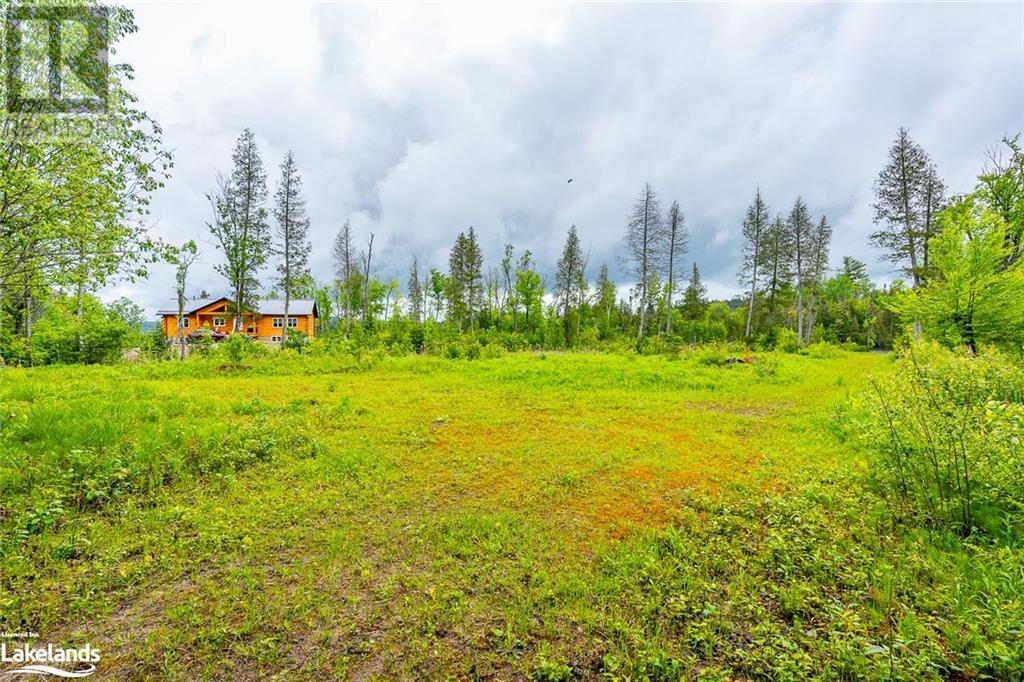 0 Grace River Road Unit# 2, Wilberforce, Ontario  K0L 3C0 - Photo 9 - 40549838