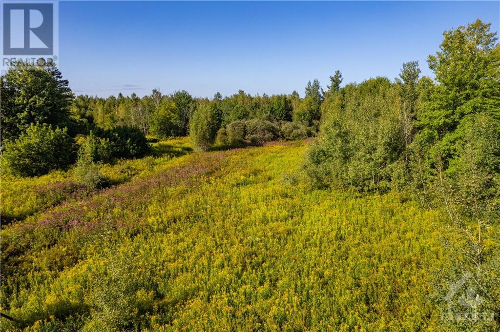 Lot 14 Concession 10 Road, Limoges, Ontario  K0A 2M0 - Photo 17 - 1381064