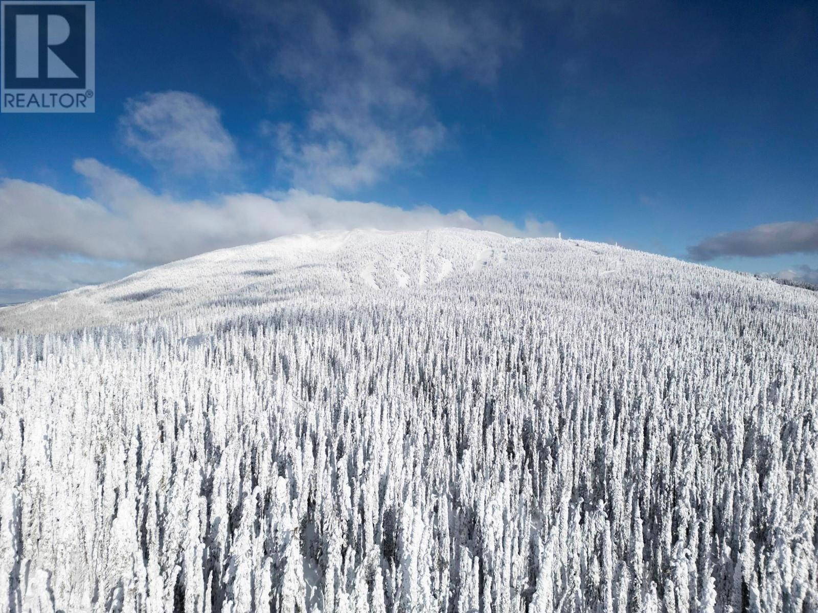 5335 Big White Road Unit# 207, Big White, British Columbia  V1X 6A6 - Photo 23 - 10305700