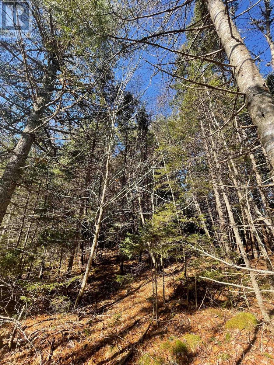 Lot 23-1 Grimm Road, First South, Nova Scotia  B0J 2C0 - Photo 10 - 202404384