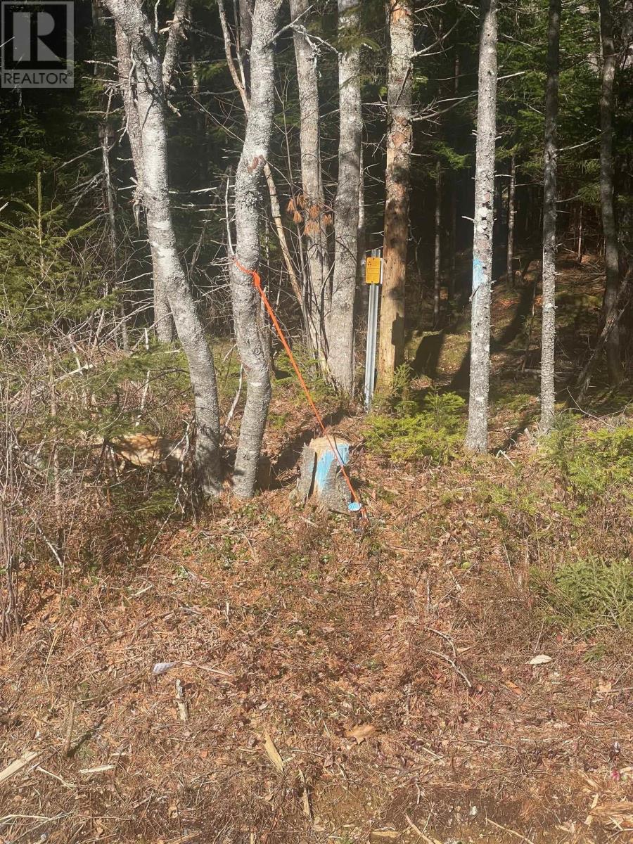 Lot 23-1 Grimm Road, First South, Nova Scotia  B0J 2C0 - Photo 6 - 202404384