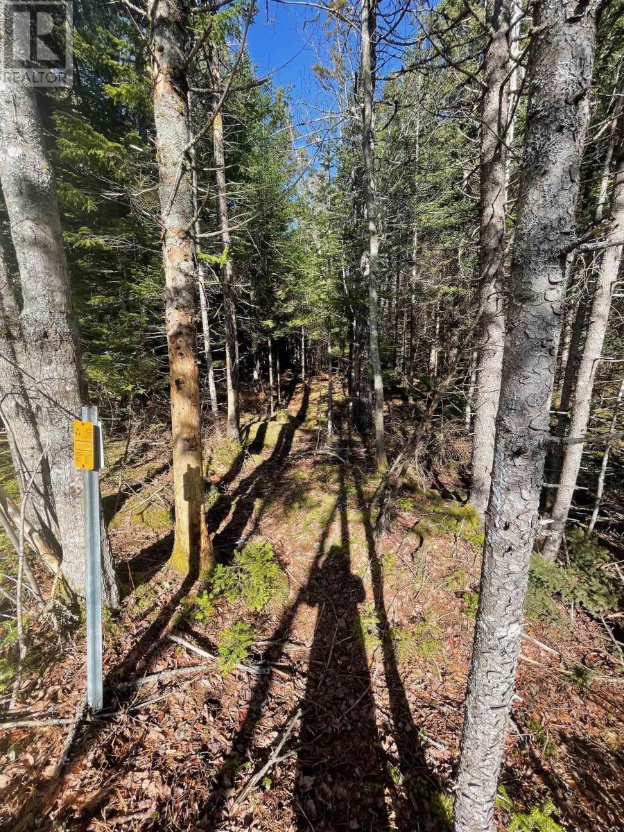 Lot 23-1 Grimm Road, First South, Nova Scotia  B0J 2C0 - Photo 7 - 202404384
