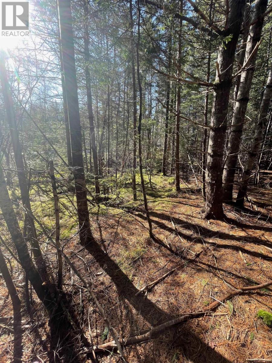 Lot 23-1 Grimm Road, First South, Nova Scotia  B0J 2C0 - Photo 9 - 202404384