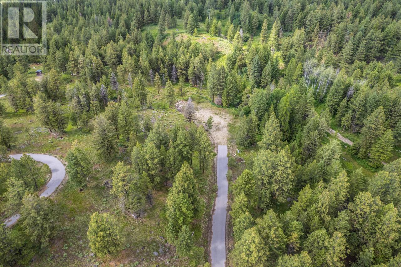 125 Sasquatch Trail, Osoyoos, British Columbia  V0H 1V6 - Photo 23 - 10306755