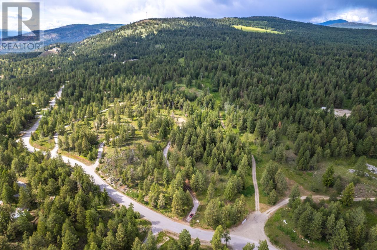 125 Sasquatch Trail, Osoyoos, British Columbia  V0H 1V6 - Photo 27 - 10306755