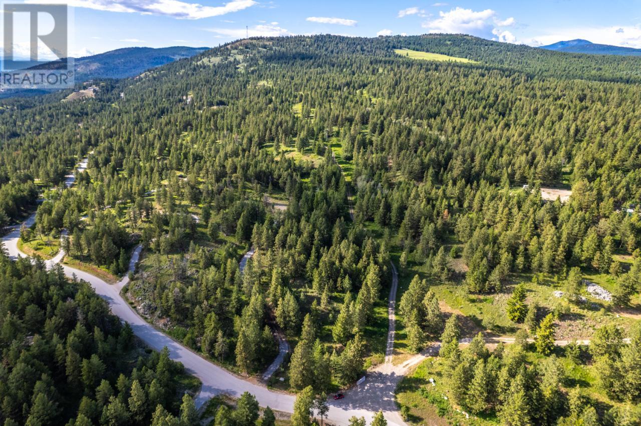 125 Sasquatch Trail, Osoyoos, British Columbia  V0H 1V6 - Photo 28 - 10306755