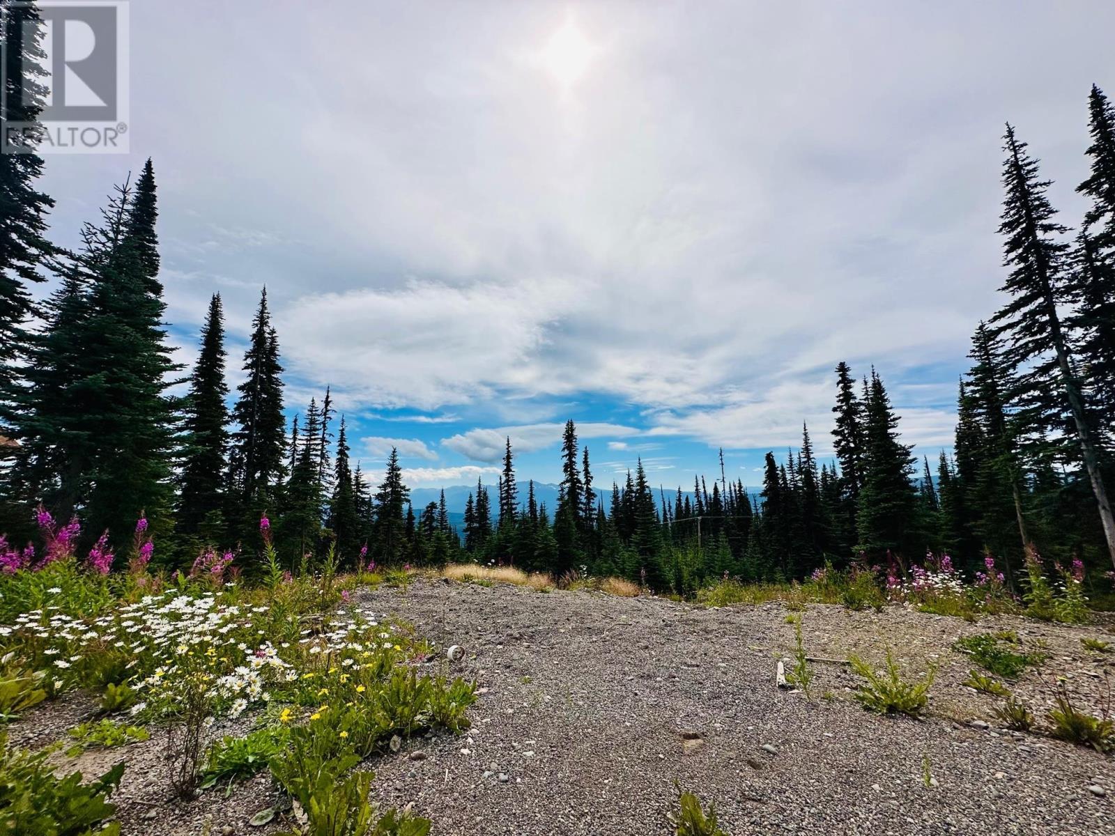 154 Alpine Way, Smithers, British Columbia  V0J 2N0 - Photo 9 - R2806494