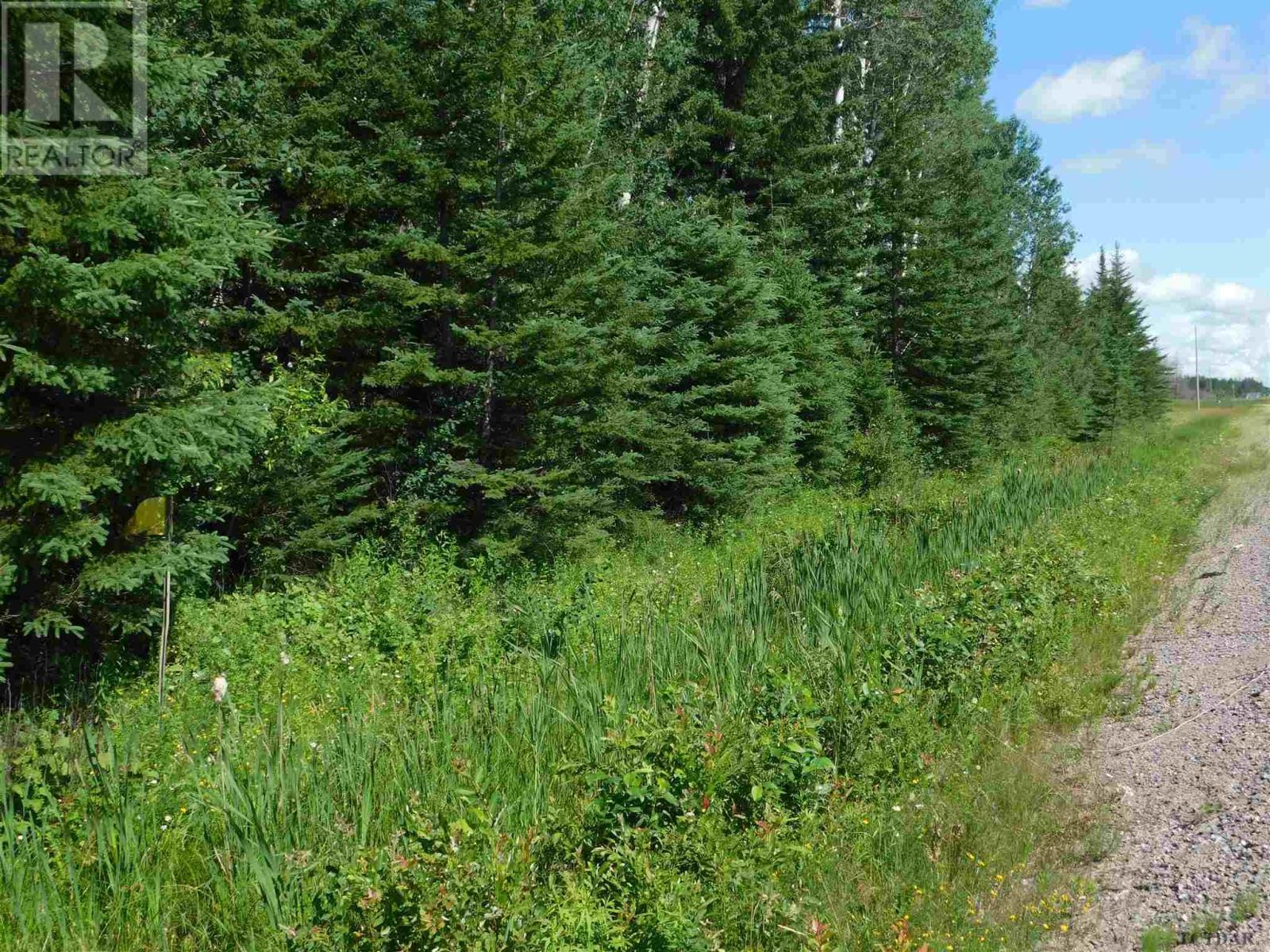 Lot 8 & 9 Con 5 Highway 11, Township, Ontario  P0J 1H0 - Photo 2 - TM240380
