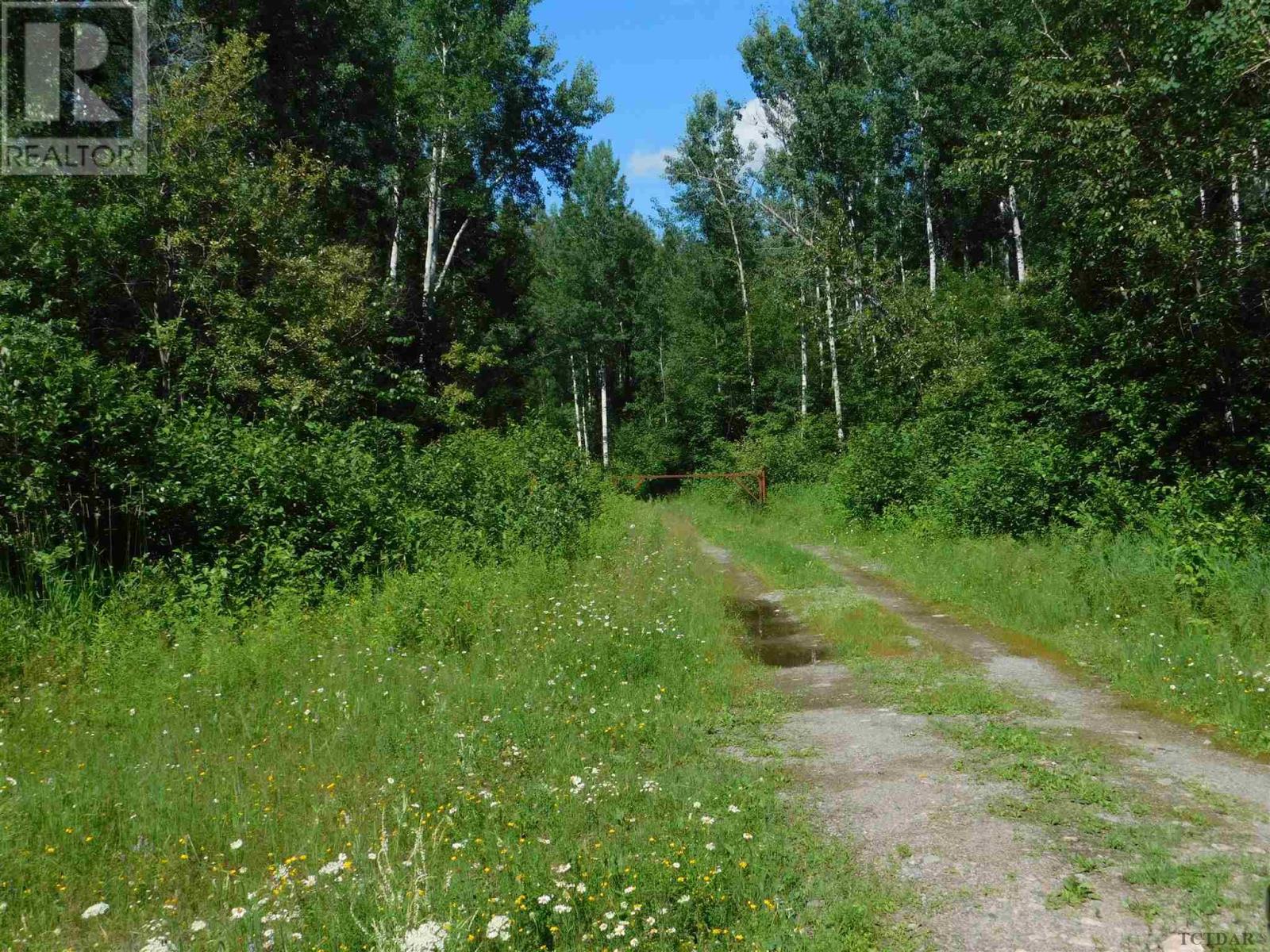 Lot 8 & 9 Con 5 Highway 11, Township, Ontario  P0J 1H0 - Photo 4 - TM240380