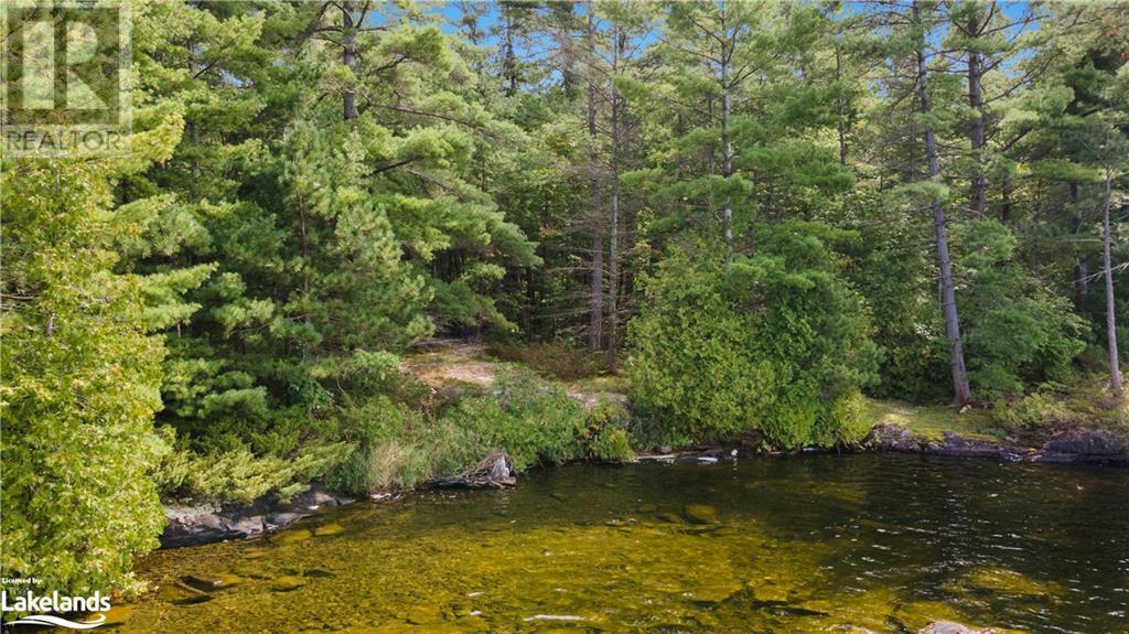 770 Island 200, Georgian Bay Twp, Ontario  L0K 1S0 - Photo 37 - 40535099