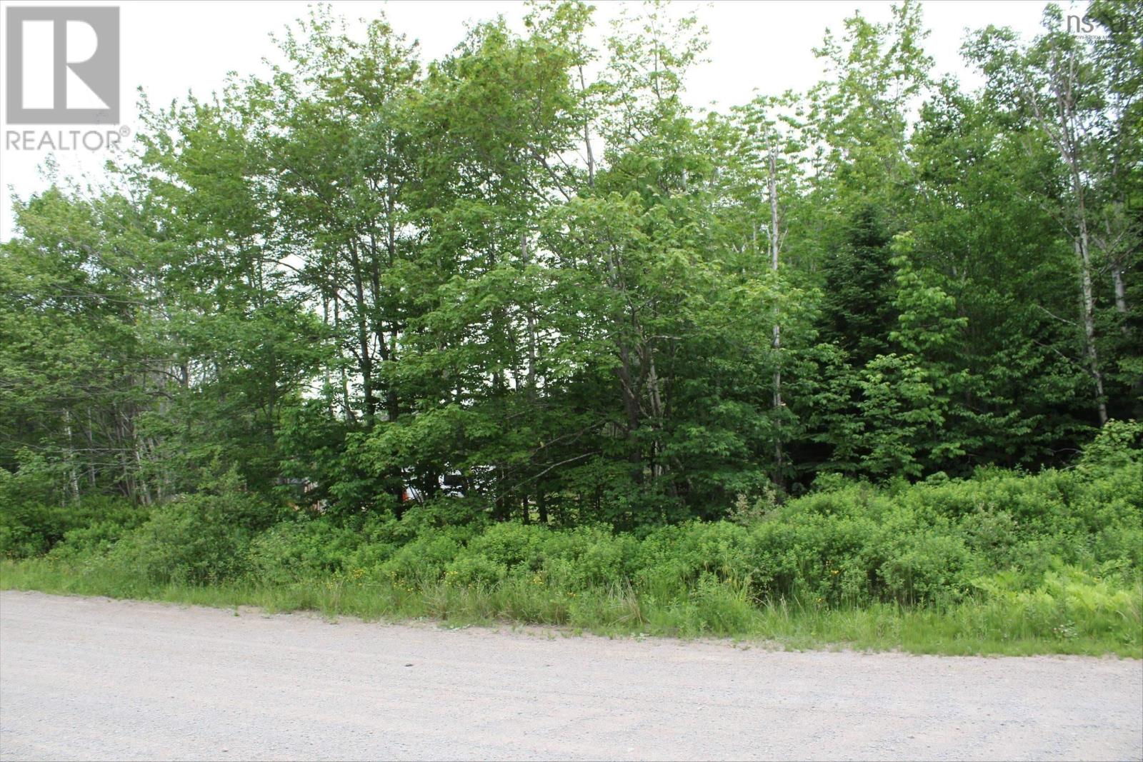Lots Crandall Road, Port Hawkesbury, Nova Scotia  B9A 3G2 - Photo 1 - 202404458