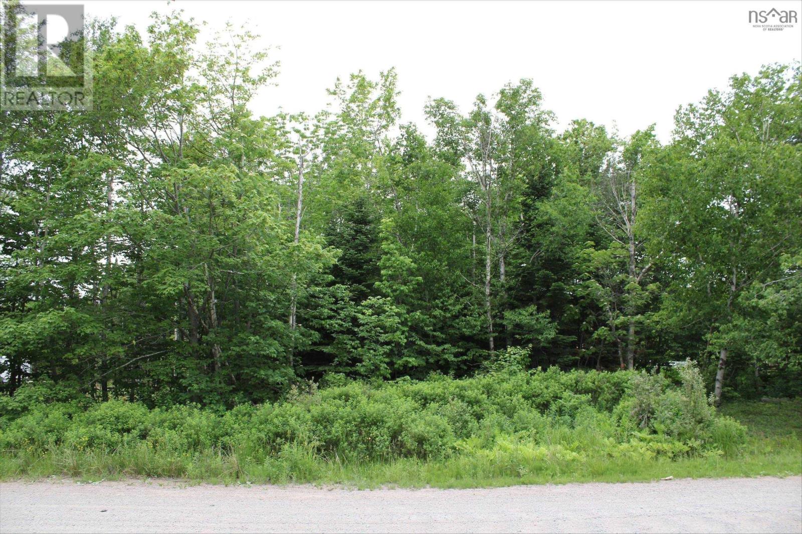 Lots Crandall Road, Port Hawkesbury, Nova Scotia  B9A 3G2 - Photo 3 - 202404458