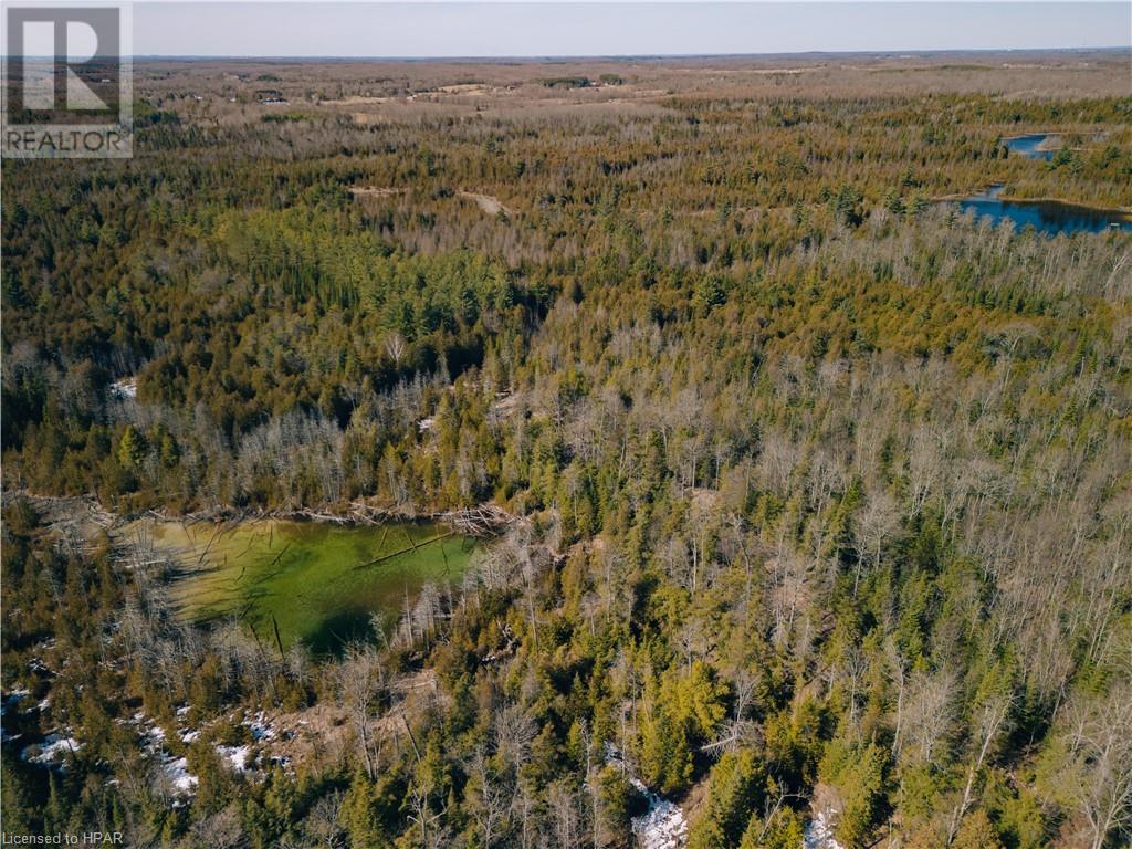 395346 Concession 2, Chatsworth, Ontario  N0H 1G0 - Photo 10 - 40553203