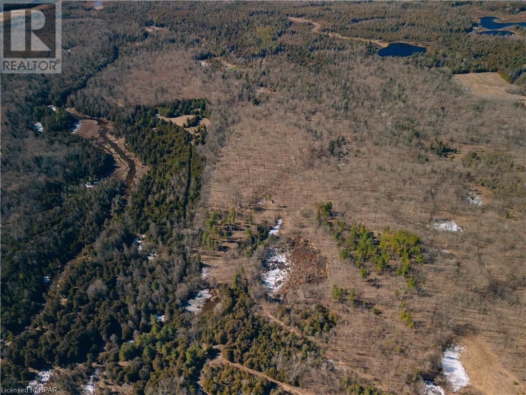 395346 Concession 2, Chatsworth, Ontario  N0H 1G0 - Photo 19 - 40553203