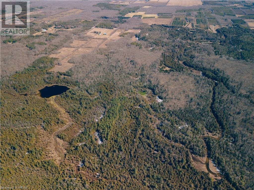 395346 Concession 2, Chatsworth, Ontario  N0H 1G0 - Photo 7 - 40553203