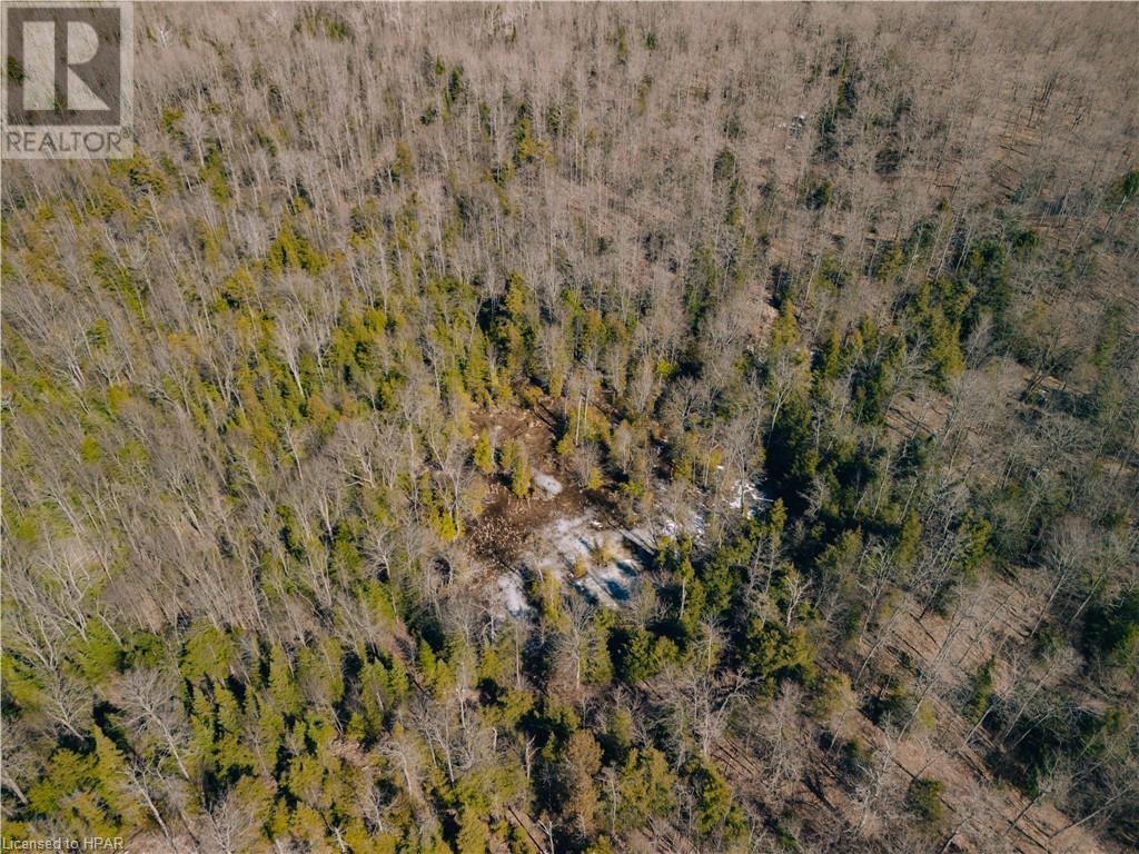 395346 Concession 2, Chatsworth, Ontario  N0H 1G0 - Photo 8 - 40553203