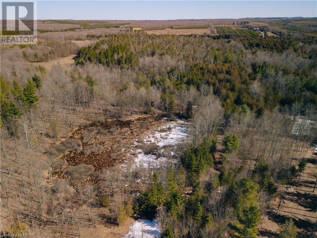 395346 Concession 2, Chatsworth, Ontario  N0H 1G0 - Photo 9 - 40553203