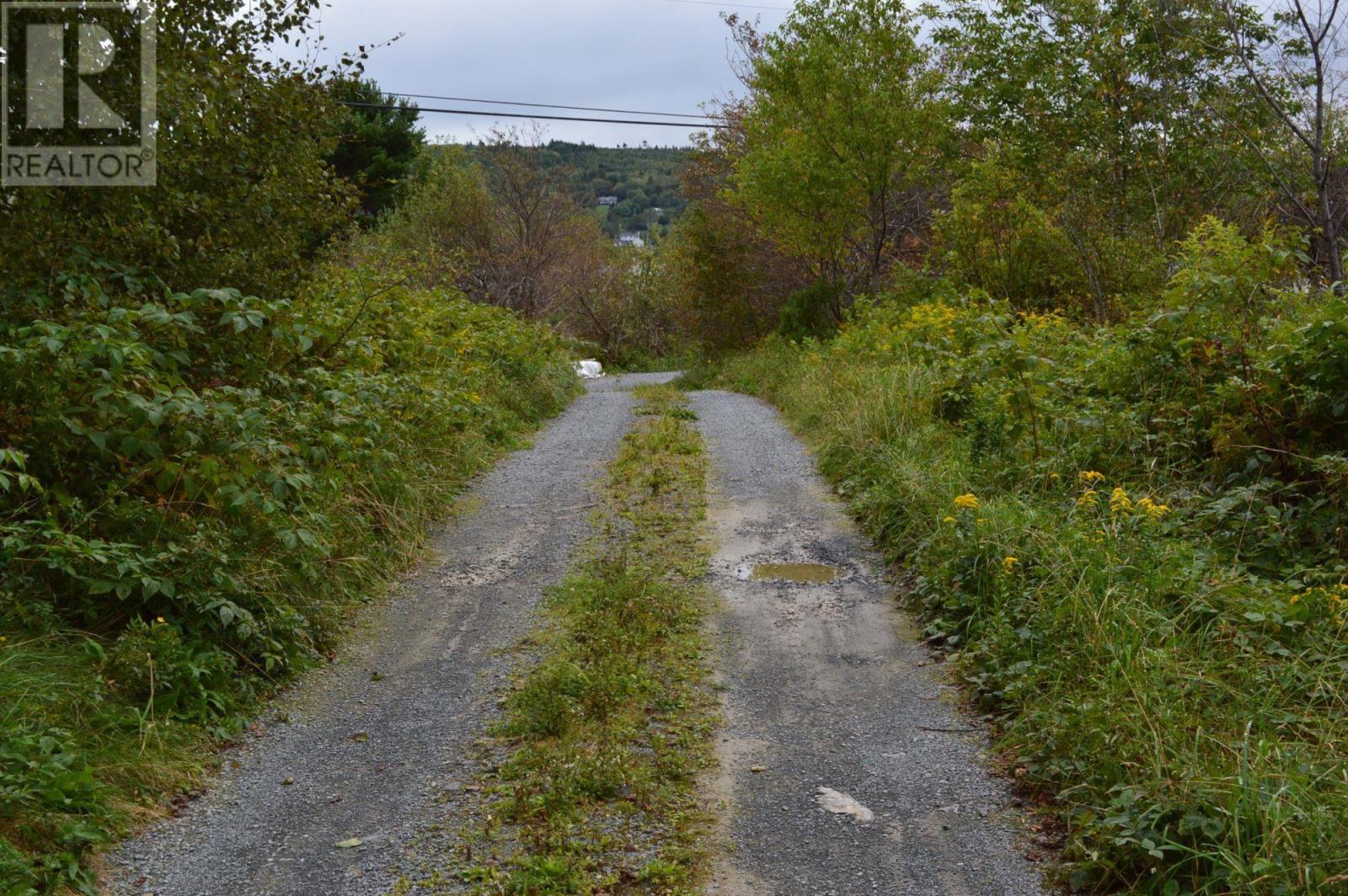 Lots Highway 332, (7 Pid's), East Lahave, Nova Scotia  B4V 0V7 - Photo 8 - 202319448