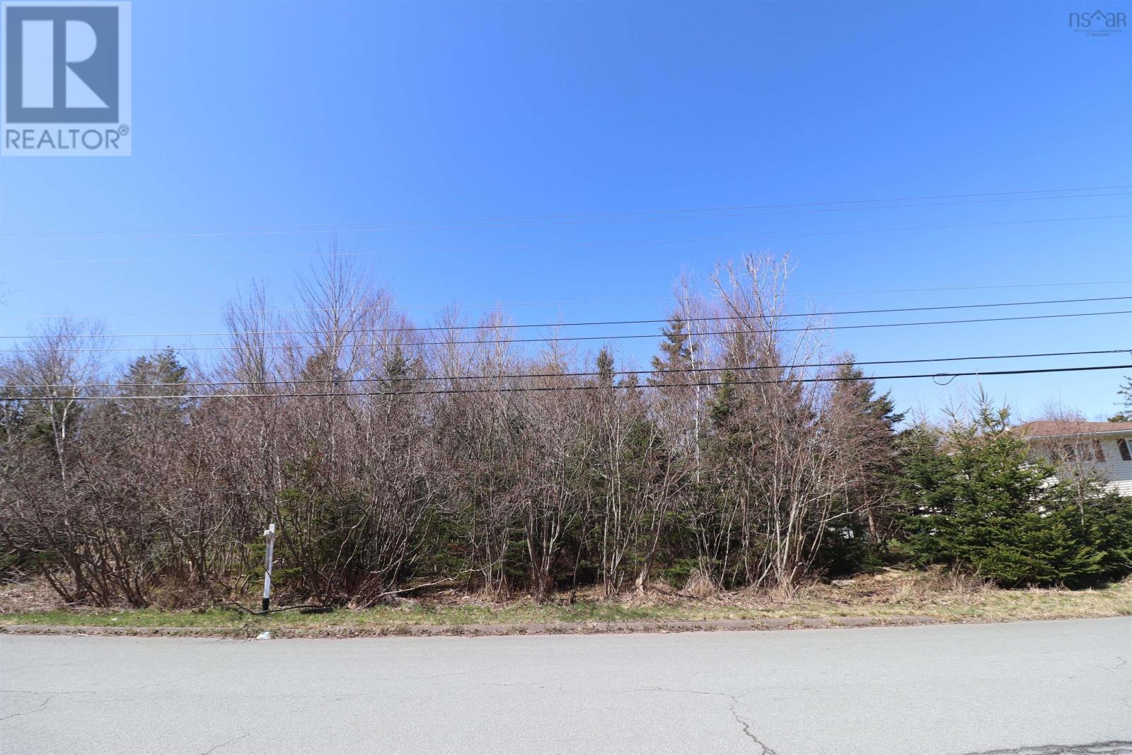 Lot C242 & P44 Evergreen Drive, Salmon River, Nova Scotia  B2N 5J2 - Photo 2 - 202404421