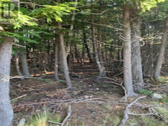 18 Acres Highway 256, West Branch, Nova Scotia  B0K 1R0 - Photo 2 - 202404509