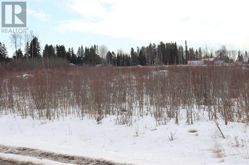 7301 Glenwood Drive, Edson, Alberta  T7E 1N1 - Photo 4 - A2114666