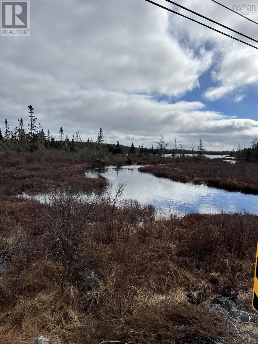 Lot Highway 3, Walls Lake, Nova Scotia  B0T 1V0 - Photo 4 - 202404467