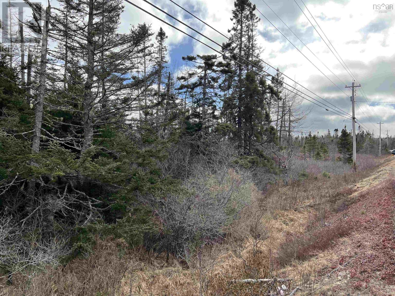 Lot Highway 3, Walls Lake, Nova Scotia  B0T 1V0 - Photo 7 - 202404467