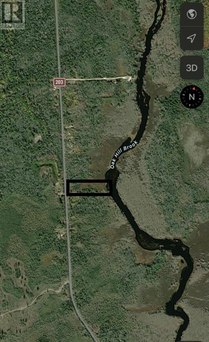 13 Highway 203, Upper Ohio, Nova Scotia  B0T 1W0 - Photo 1 - 202209942