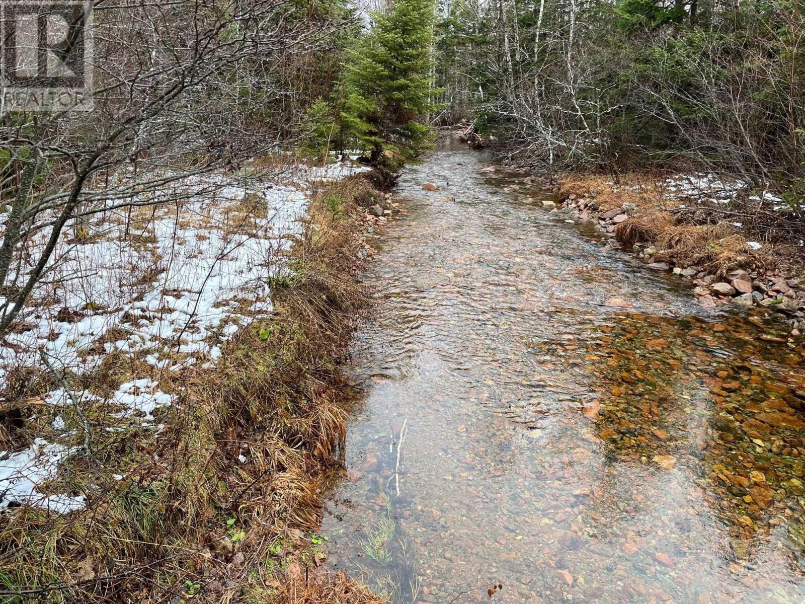 Stubbards Road, Big Brook, Nova Scotia  B0E 2A0 - Photo 1 - 202404371