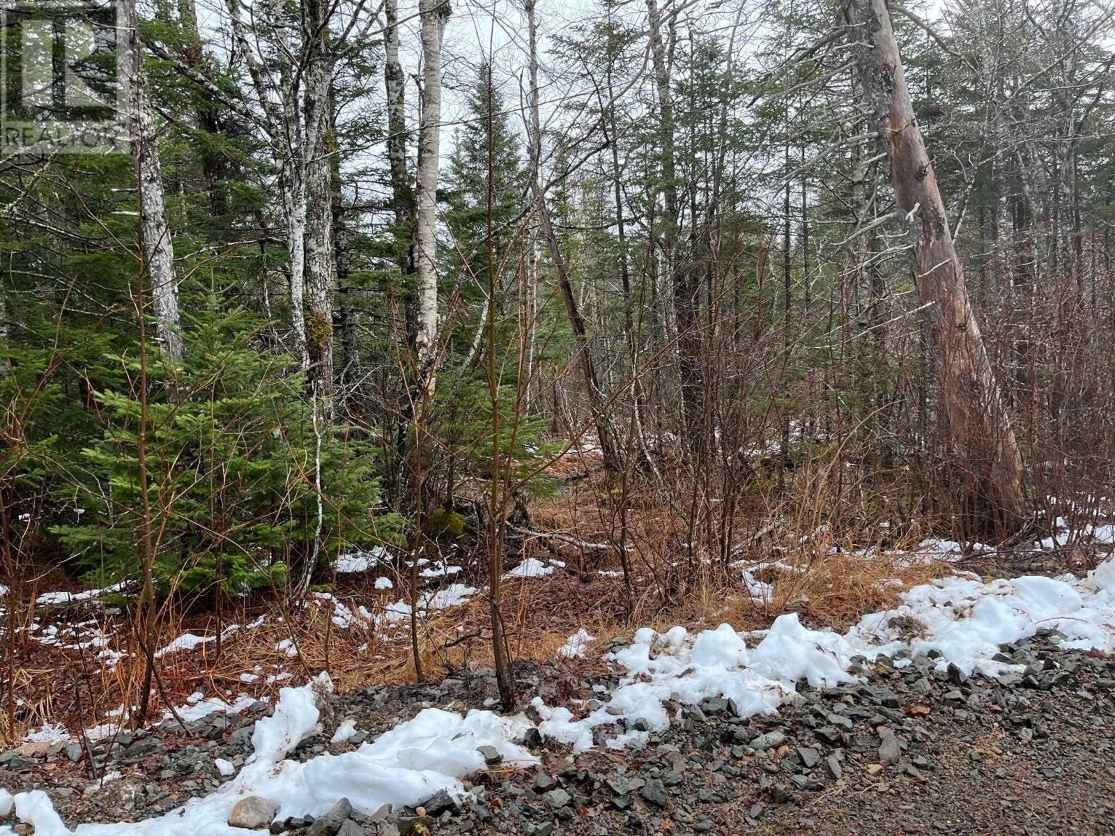 Stubbards Road, Big Brook, Nova Scotia  B0E 2A0 - Photo 2 - 202404371