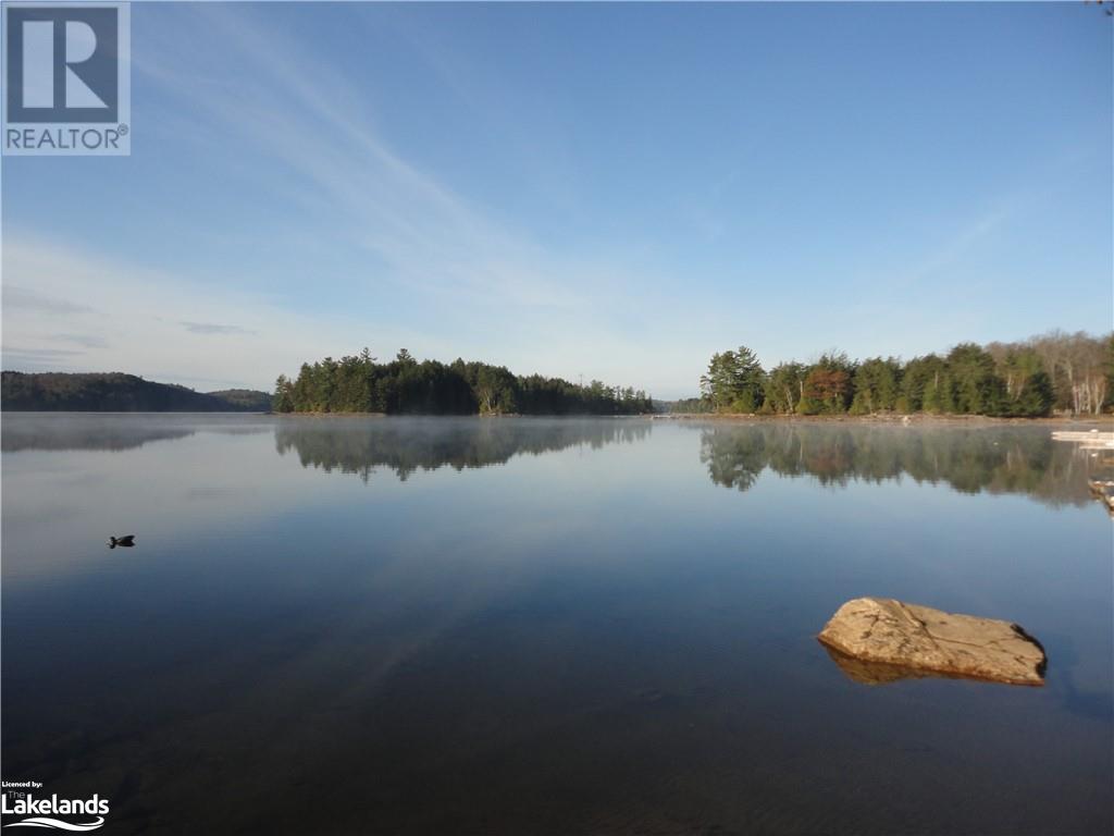 2330 Wilkinson Road, Haliburton, Ontario  K0M 1S0 - Photo 35 - 40552668
