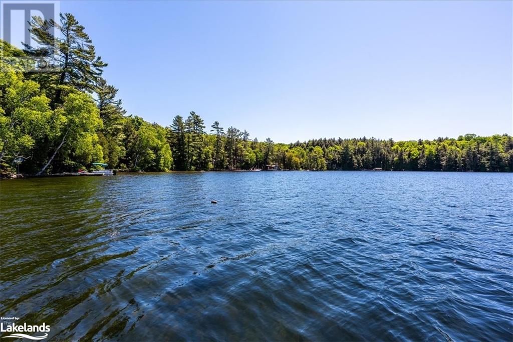 2330 Wilkinson Road, Haliburton, Ontario  K0M 1S0 - Photo 39 - 40552668