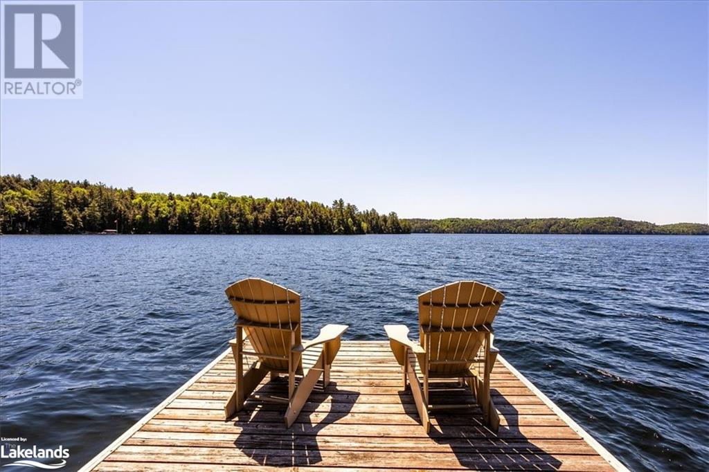 2330 Wilkinson Road, Haliburton, Ontario  K0M 1S0 - Photo 41 - 40552668