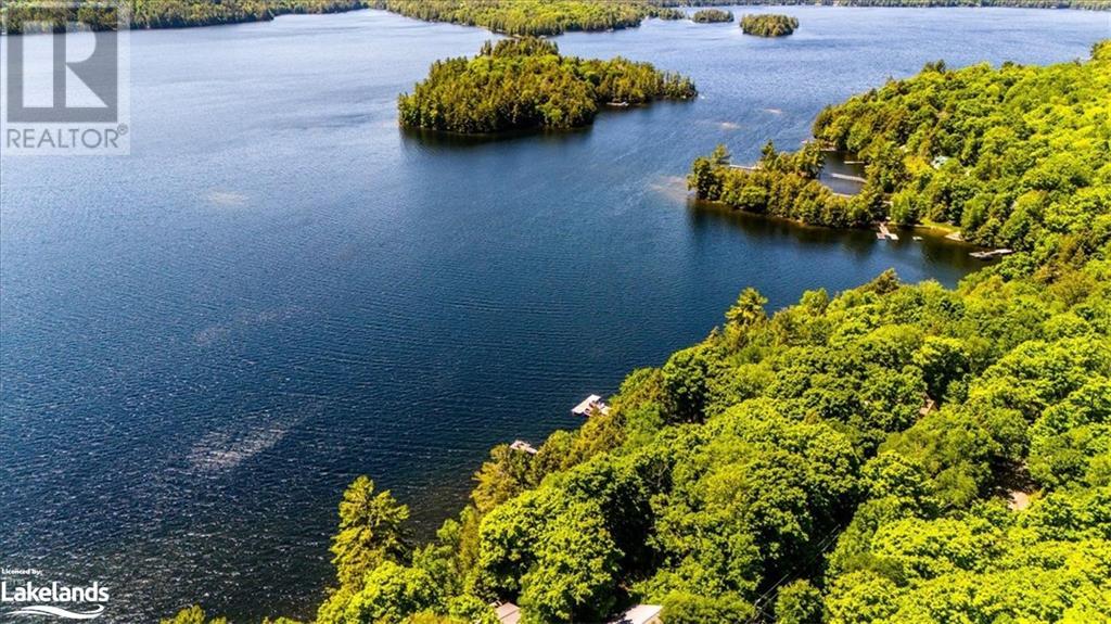 2330 Wilkinson Road, Haliburton, Ontario  K0M 1S0 - Photo 46 - 40552668