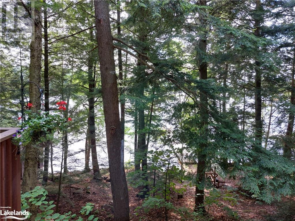 2330 Wilkinson Road, Haliburton, Ontario  K0M 1S0 - Photo 47 - 40552668