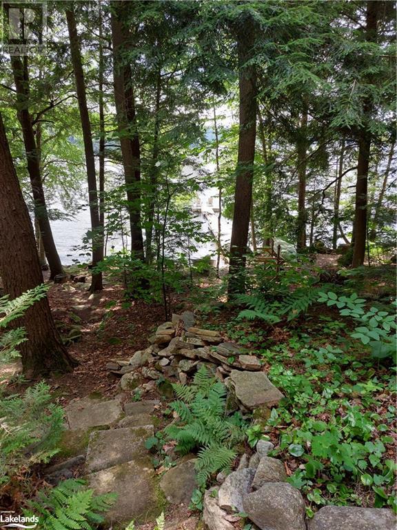 2330 Wilkinson Road, Haliburton, Ontario  K0M 1S0 - Photo 49 - 40552668